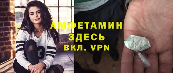 прущие грибы Семикаракорск